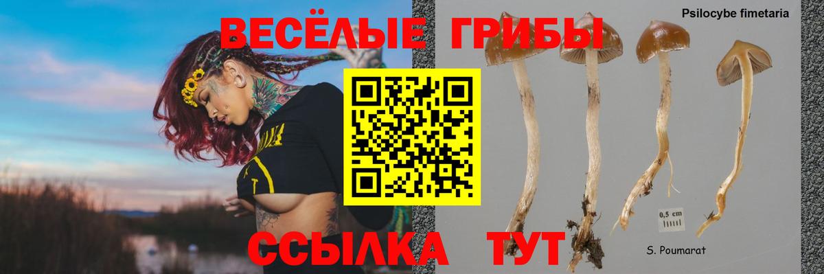 Калач-на-Дону  Галлюциногенные грибы MAGIC MUSHROOMS  Вход с VPN 